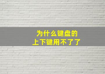 为什么键盘的上下键用不了了