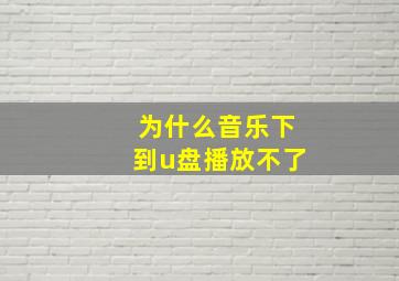 为什么音乐下到u盘播放不了