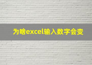 为啥excel输入数字会变