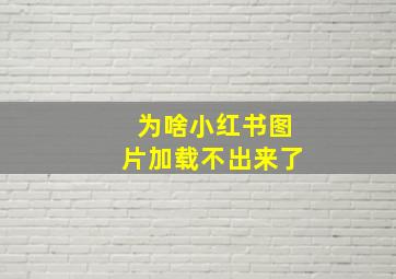 为啥小红书图片加载不出来了