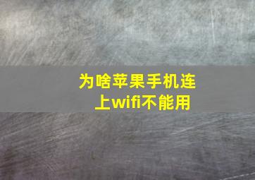 为啥苹果手机连上wifi不能用