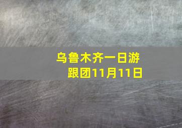 乌鲁木齐一日游跟团11月11日