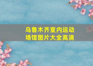 乌鲁木齐室内运动场馆图片大全高清