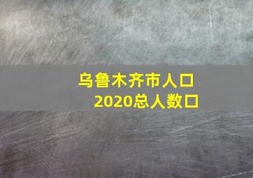 乌鲁木齐市人口2020总人数口