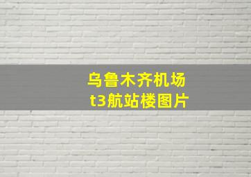 乌鲁木齐机场t3航站楼图片