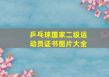 乒乓球国家二级运动员证书图片大全