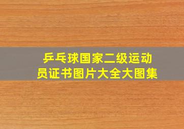 乒乓球国家二级运动员证书图片大全大图集