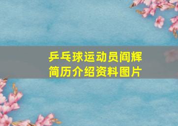 乒乓球运动员阎辉简历介绍资料图片