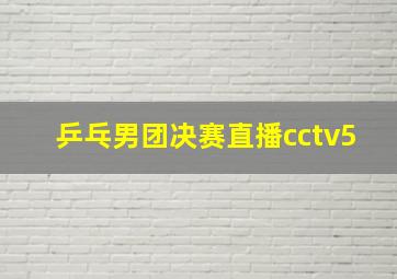 乒乓男团决赛直播cctv5