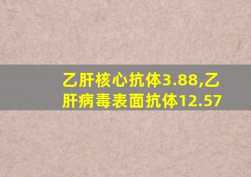 乙肝核心抗体3.88,乙肝病毒表面抗体12.57