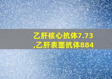 乙肝核心抗体7.73,乙肝表面抗体884