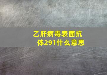 乙肝病毒表面抗体291什么意思