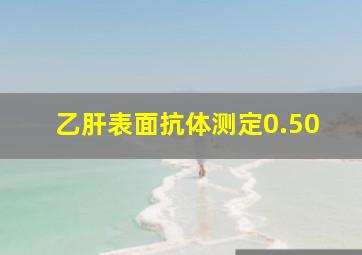 乙肝表面抗体测定0.50