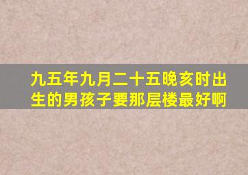 九五年九月二十五晚亥时出生的男孩子要那层楼最好啊