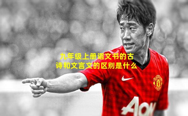 九年级上册语文书的古诗和文言文的区别是什么