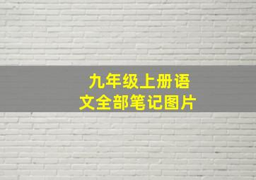 九年级上册语文全部笔记图片