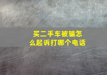 买二手车被骗怎么起诉打哪个电话