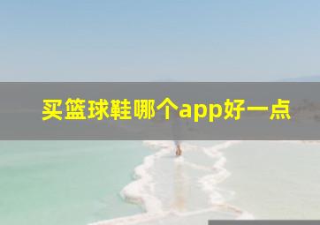 买篮球鞋哪个app好一点