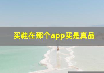 买鞋在那个app买是真品