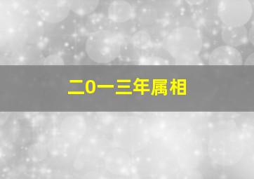 二0一三年属相