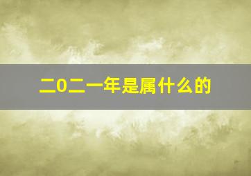 二0二一年是属什么的