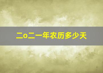 二o二一年农历多少天