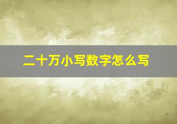 二十万小写数字怎么写