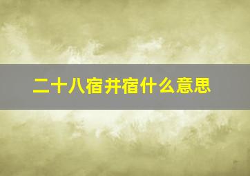 二十八宿井宿什么意思