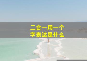 二合一用一个字表达是什么