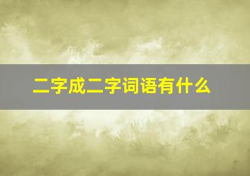 二字成二字词语有什么