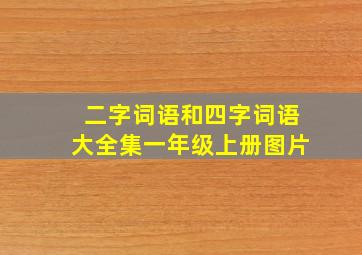 二字词语和四字词语大全集一年级上册图片