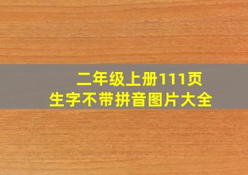 二年级上册111页生字不带拼音图片大全