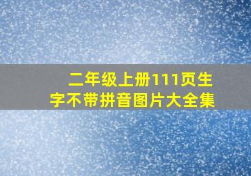 二年级上册111页生字不带拼音图片大全集