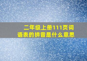 二年级上册111页词语表的拼音是什么意思