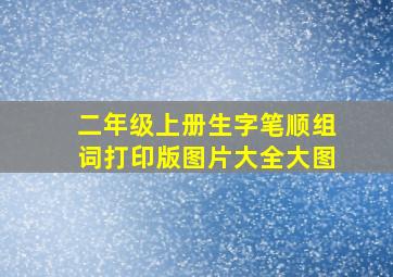 二年级上册生字笔顺组词打印版图片大全大图