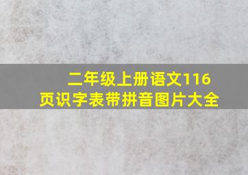 二年级上册语文116页识字表带拼音图片大全