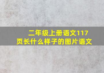 二年级上册语文117页长什么样子的图片语文