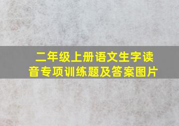 二年级上册语文生字读音专项训练题及答案图片