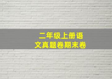 二年级上册语文真题卷期末卷