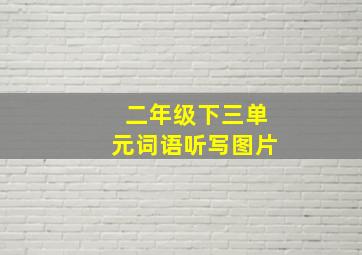 二年级下三单元词语听写图片