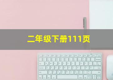 二年级下册111页