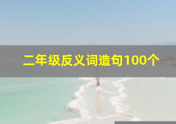 二年级反义词造句100个