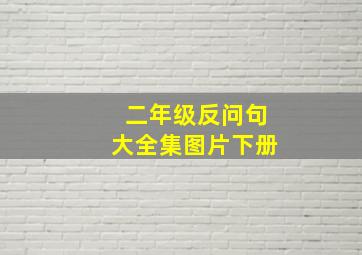 二年级反问句大全集图片下册