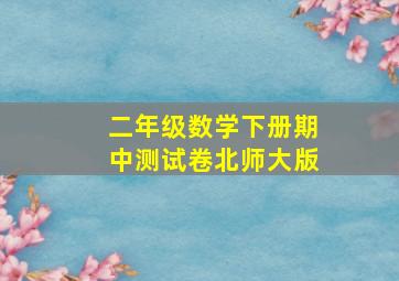 二年级数学下册期中测试卷北师大版