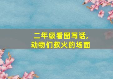 二年级看图写话,动物们救火的场面