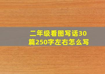 二年级看图写话30篇250字左右怎么写