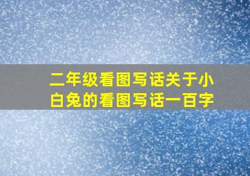 二年级看图写话关于小白兔的看图写话一百字