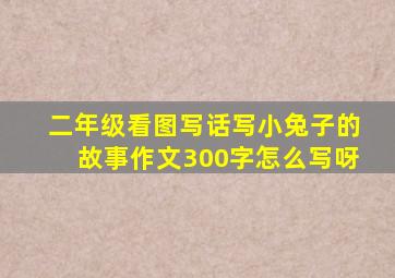 二年级看图写话写小兔子的故事作文300字怎么写呀