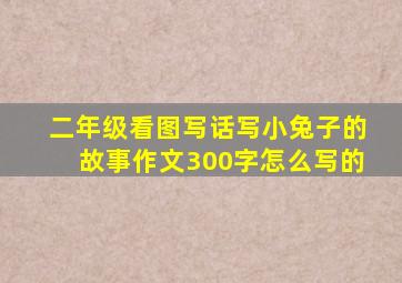 二年级看图写话写小兔子的故事作文300字怎么写的