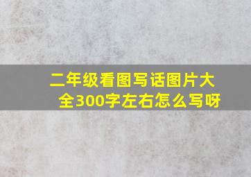 二年级看图写话图片大全300字左右怎么写呀